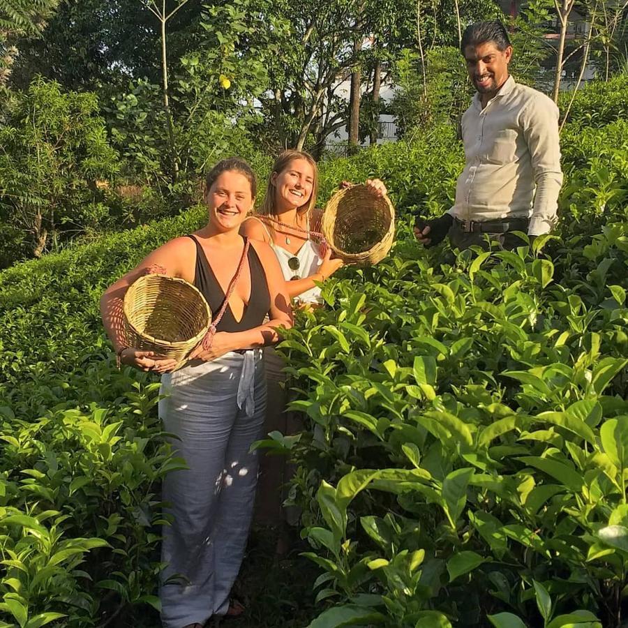 Tea Villas Ella Ngoại thất bức ảnh