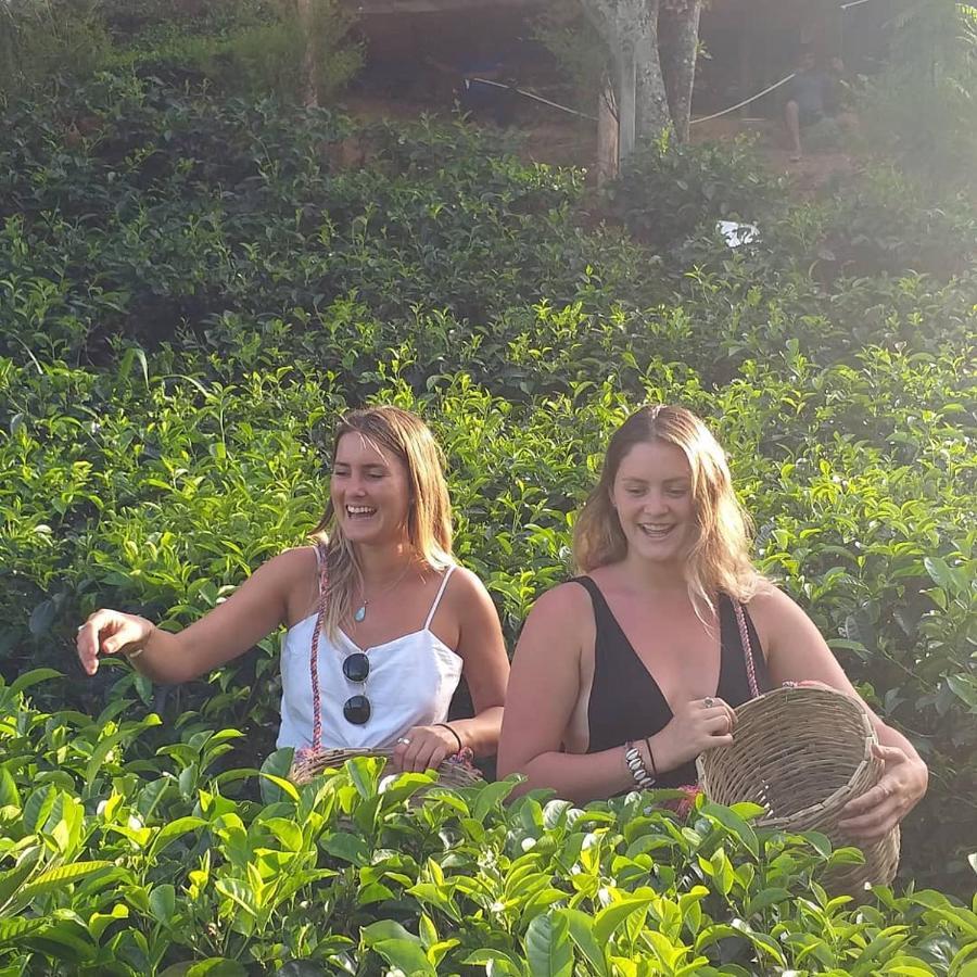 Tea Villas Ella Ngoại thất bức ảnh